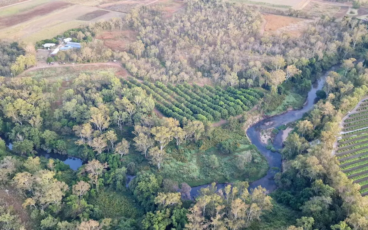 Farmland and rainforest from the air, cut by a winding road