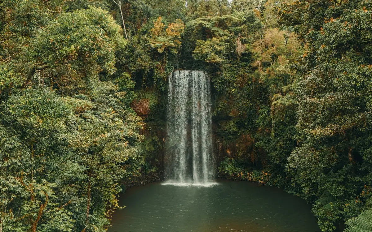 A wide waterfall dropping into a dark circular pool ringed by dense rainforest