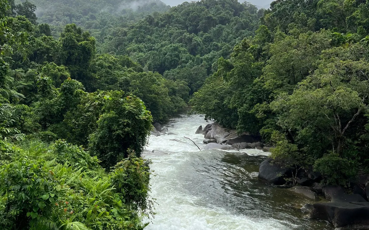 A fast white river running between two steep walls of dense green rainforest under low cloud
