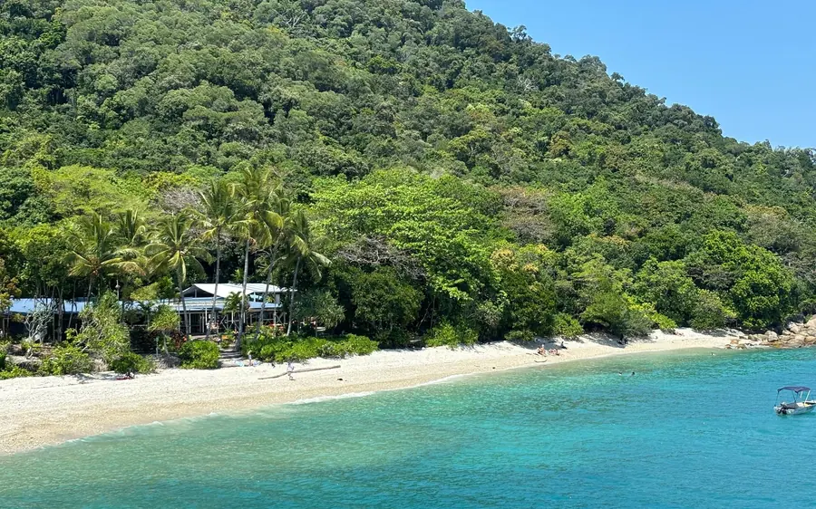 Palms and a pale beach above clear water on Fitzroy Island, seen from the hill