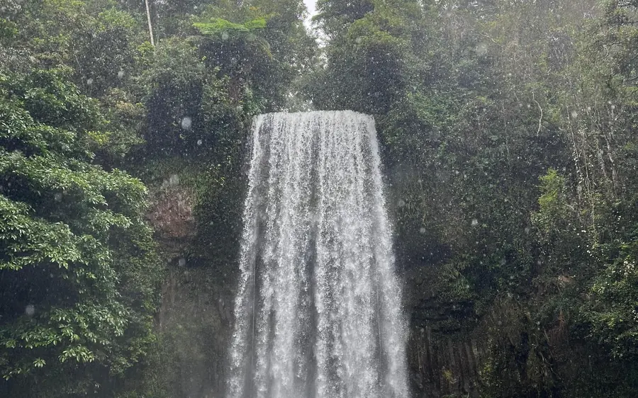 A tall waterfall dropping into dense rainforest